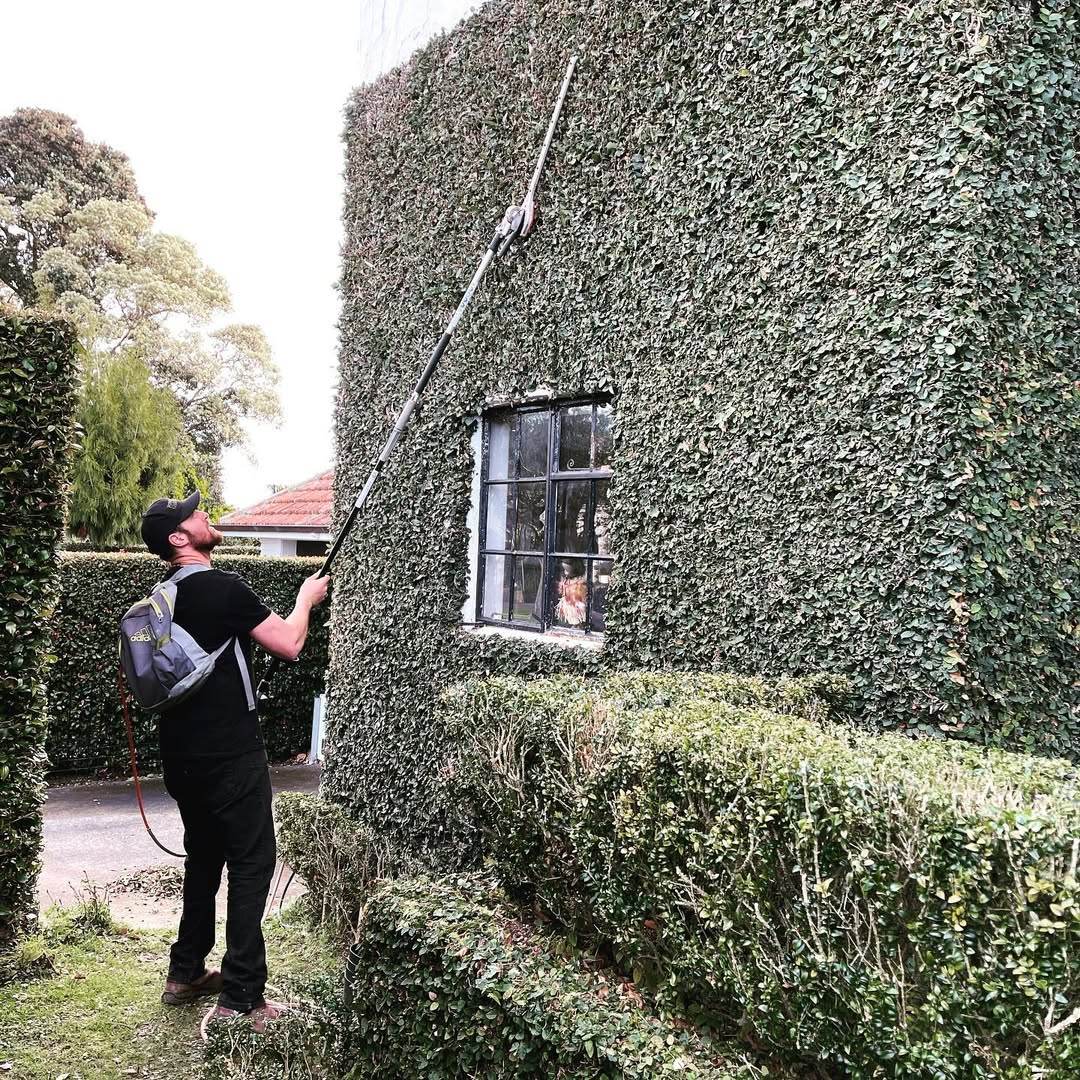 Hedge Trimming and Tree Pruning
