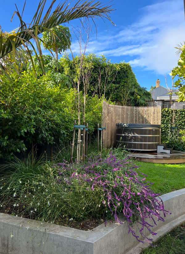 Design and planting transformation