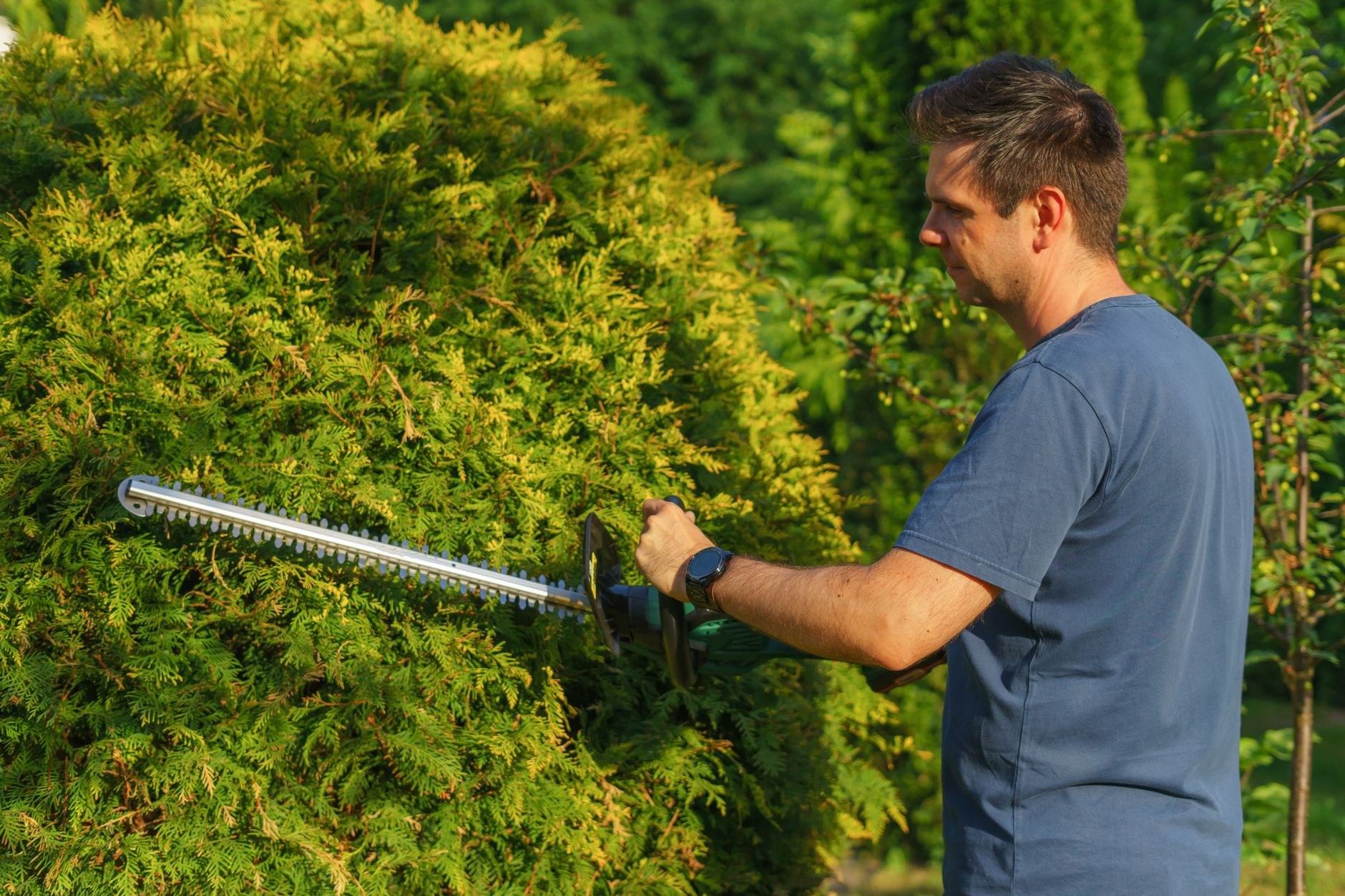 Garden Maintenance Plans
